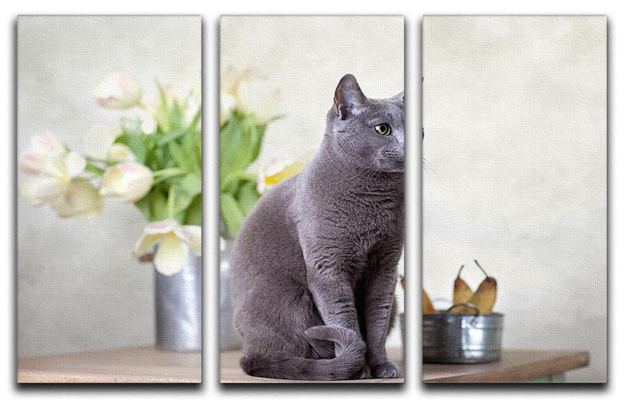 A beautiful 3-panel canvas art featuring a Russian Blue cat sitting on a table surrounded by pears and tulips, showcasing vibrant colors and intricate details.