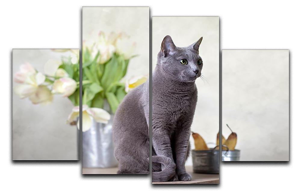 A beautiful Russian Blue cat sitting on a table surrounded by pears and tulips, displayed in a 4-split canvas format.