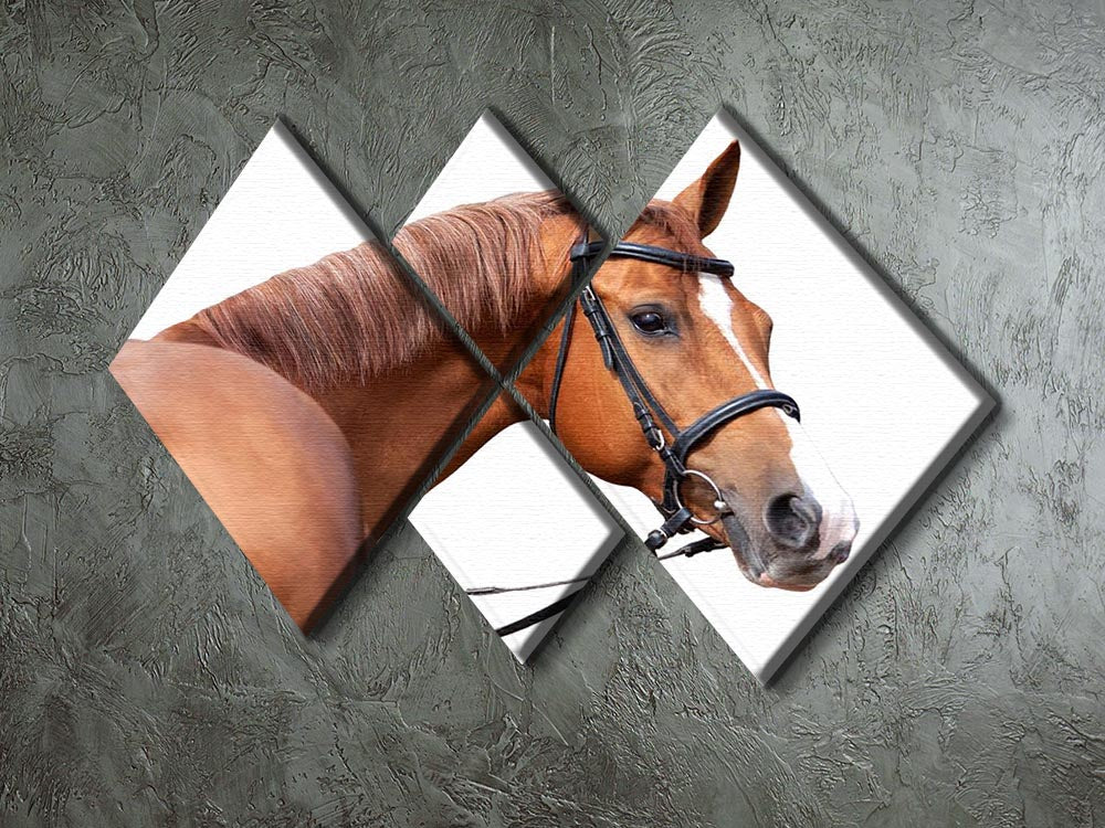 A stunning 4-square canvas artwork featuring a majestic Russian Don horse, divided into four equal panels for a striking visual effect.
