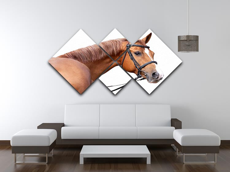 A stunning 4-square canvas artwork featuring a majestic Russian Don horse, divided into four equal panels for a striking visual effect.