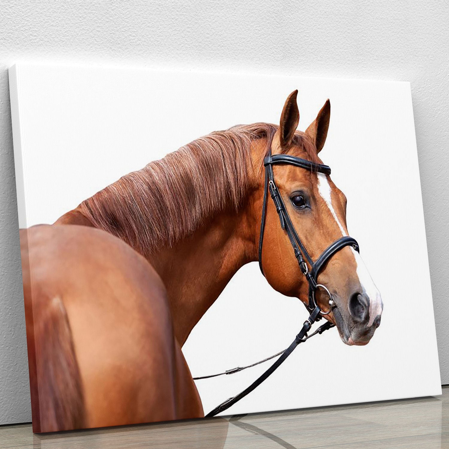 A beautiful canvas print of a Russian Don horse, showcasing its elegant features and vibrant colors, perfect for home or office decor.