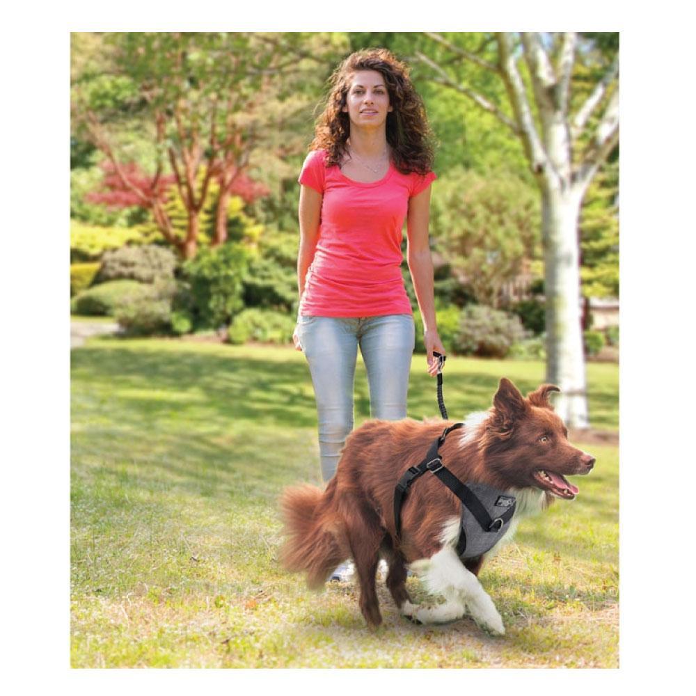 S Dog Harness 2 in 1 Combo designed for car travel and walks, featuring padded chest pad and adjustable straps for comfort.