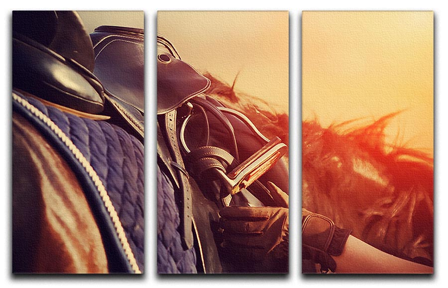 A stunning 3-panel canvas print featuring a saddle with stirrups on a horse's back, showcasing equestrian art.