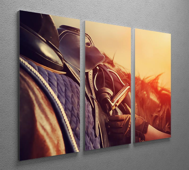 A stunning 3-panel canvas print featuring a saddle with stirrups on a horse's back, showcasing equestrian art.