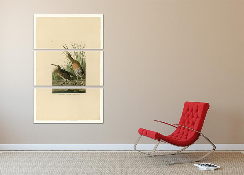 A beautiful 3-panel canvas print featuring the Salt Water Marsh Hen, showcasing vibrant colors and intricate details of the bird in its natural habitat.