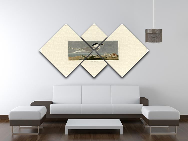 A beautiful 4-square multi-panel canvas featuring the Sandwich Tern, showcasing vibrant colors and intricate details of the bird.