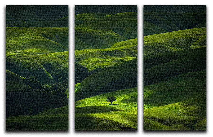 Savana Mamboro 3 Split Panel Canvas Print showcasing vibrant colors and elegant design, perfect for home decor.