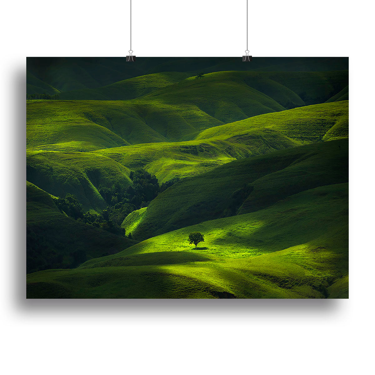 Savana Mamboro canvas print showcasing vibrant colors and intricate details, perfect for home or office decor.