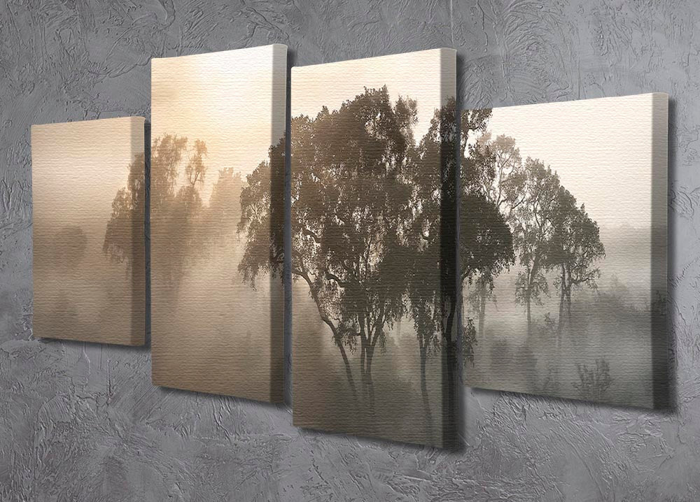 Savana Sunrise 4 Split Panel Canvas artwork featuring a vibrant sunrise over a savanna landscape, divided into four panels.