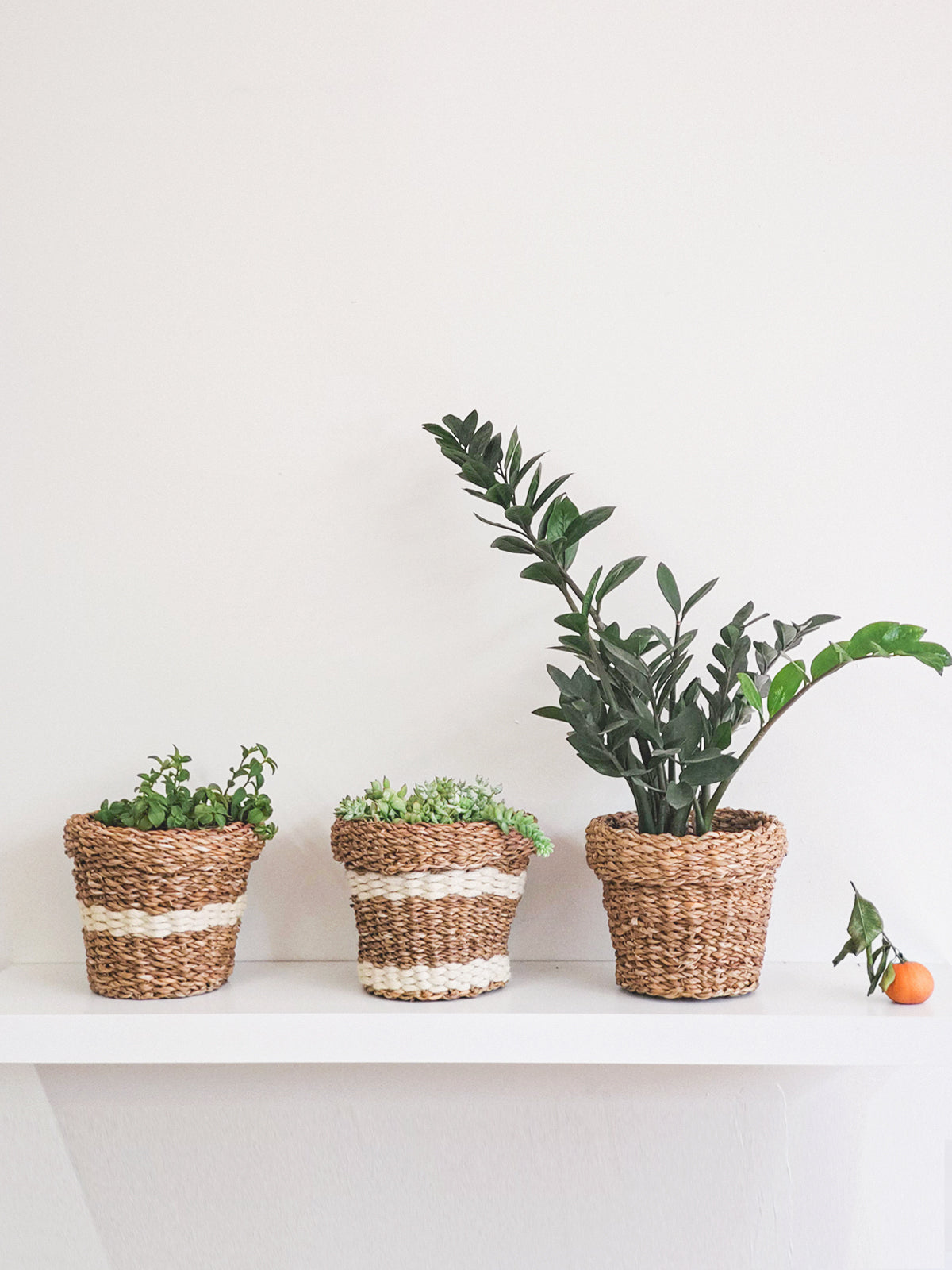 Savar Nesting Plant Basket made from sustainable seagrass, featuring a natural texture and three unique patterns, ideal for plant display.