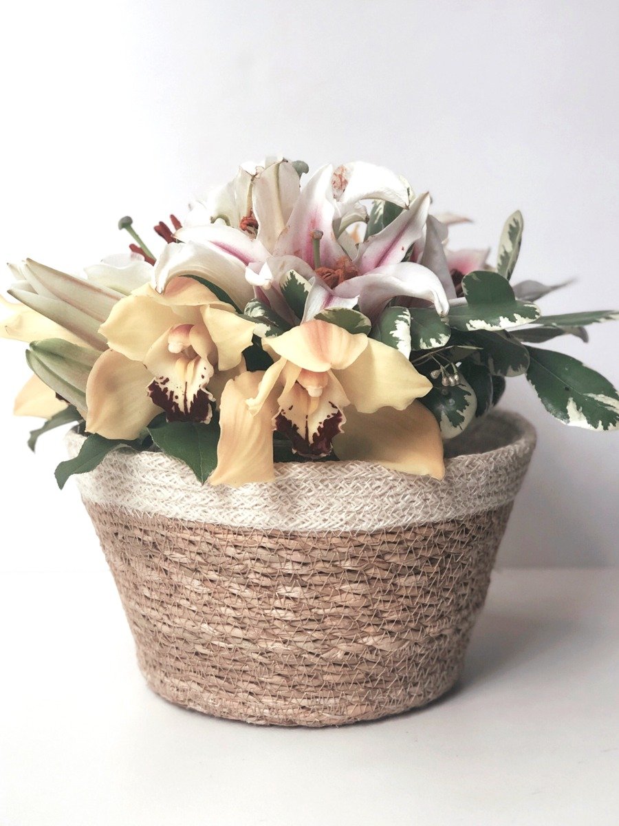 Set of 3 Savar Plant Bowls made from seagrass and jute, showcasing natural textures and colors.