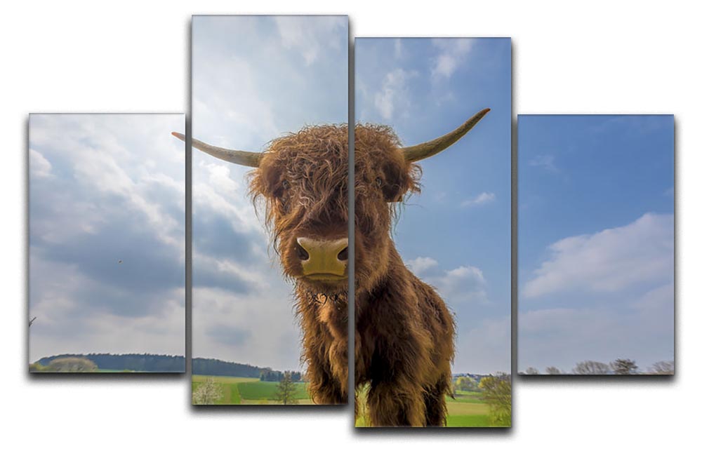 A beautiful 4-split canvas artwork featuring Scottish Highland cattle in a lush pasture, showcasing their iconic long horns and shaggy fur.
