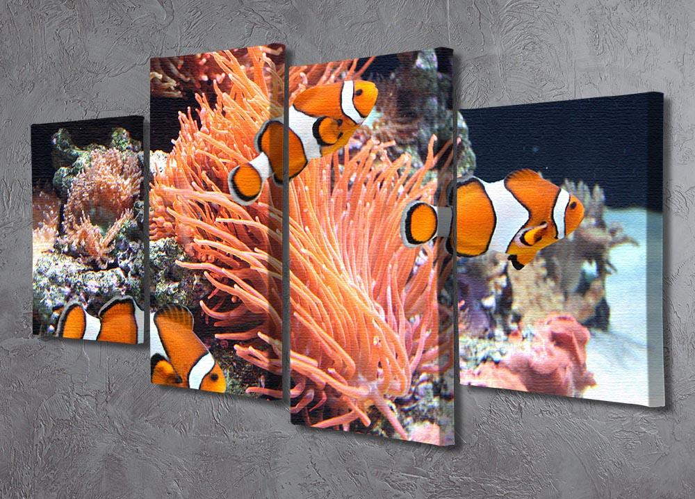 A beautiful 4-panel canvas artwork featuring vibrant sea anemones, showcasing intricate details and colors that enhance any room's decor.