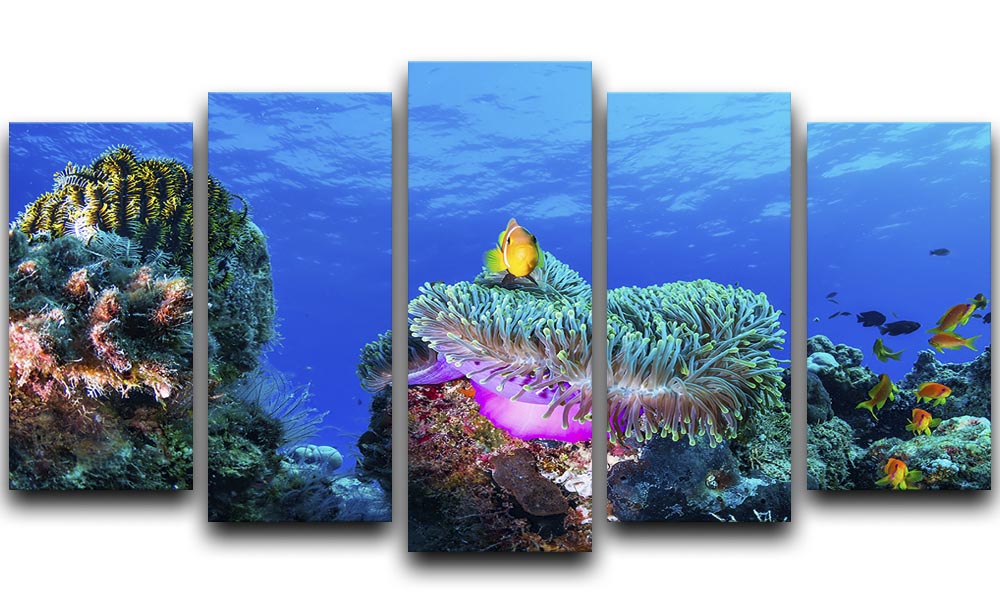A vibrant Sea Life 5 Split Panel Canvas artwork featuring colorful marine life across five panels, creating a stunning visual display.