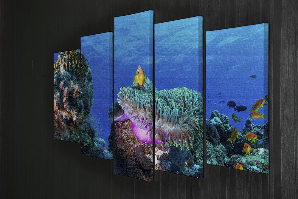 A vibrant Sea Life 5 Split Panel Canvas artwork featuring colorful marine life across five panels, creating a stunning visual display.