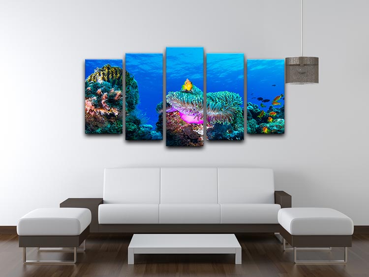 A vibrant Sea Life 5 Split Panel Canvas artwork featuring colorful marine life across five panels, creating a stunning visual display.
