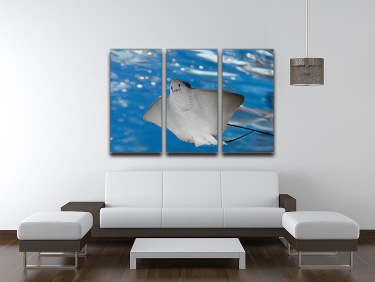 A beautiful 3-panel canvas print featuring a sea stingray and marine life, showcasing vibrant colors and intricate details.