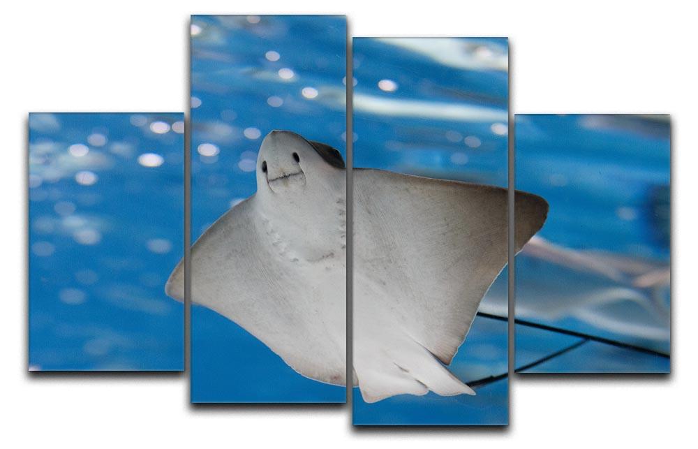 A vibrant 4-split canvas artwork featuring a sea stingray and colorful marine life, creating a dynamic oceanic scene.