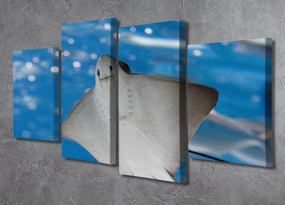 A vibrant 4-split canvas artwork featuring a sea stingray and colorful marine life, creating a dynamic oceanic scene.