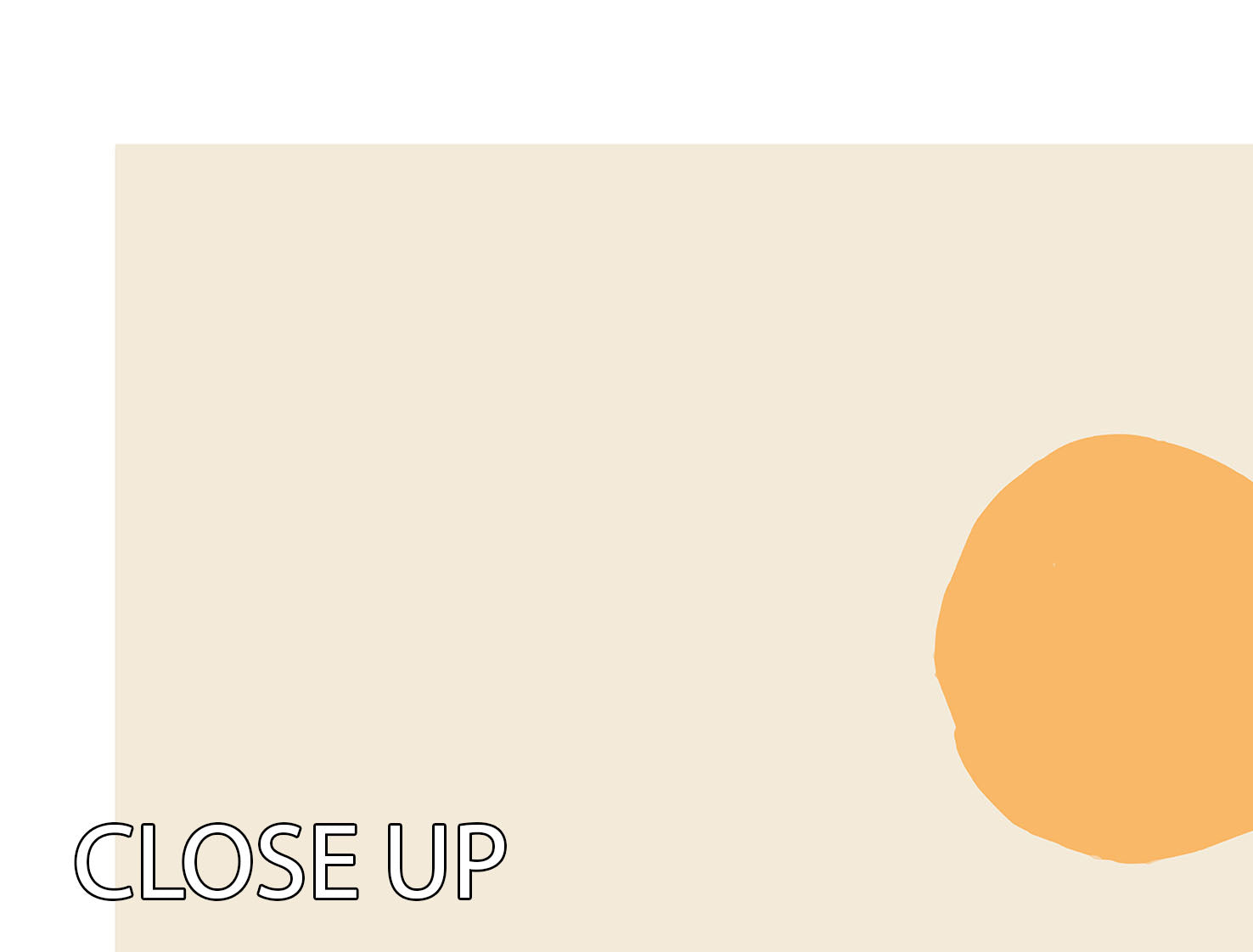 A beautiful 3-panel canvas print featuring seaweed in sunlight, showcasing vibrant colors and intricate details, perfect for home decor.