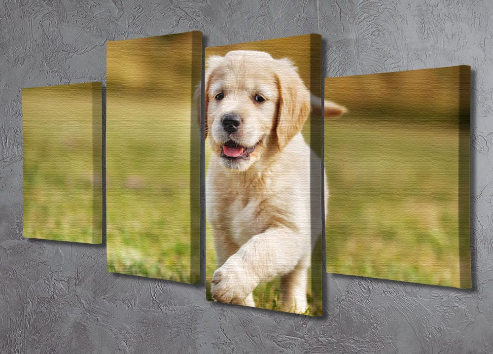 A beautiful 4 split panel canvas featuring a seven-week-old golden retriever puppy, showcasing its playful and innocent nature.