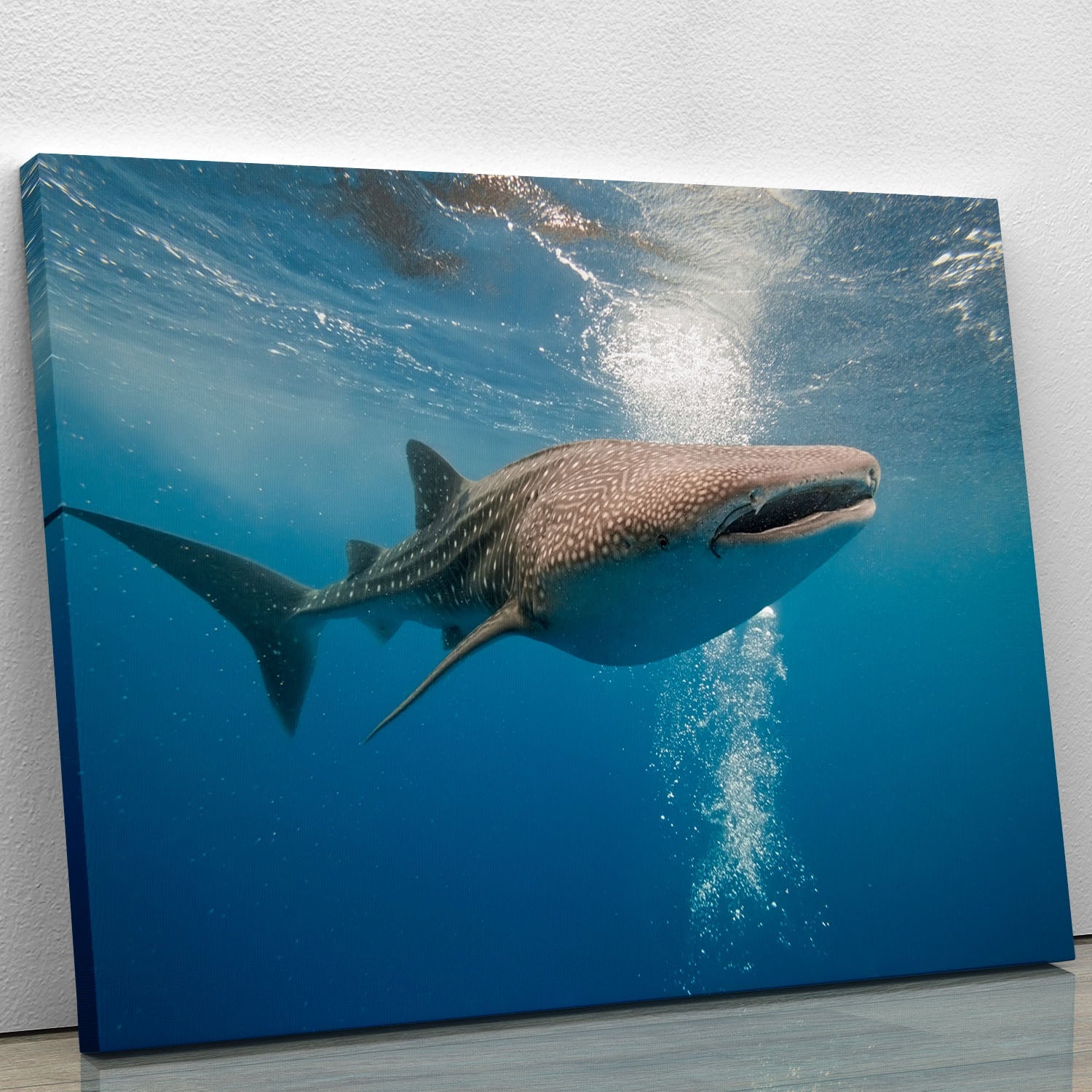 A stunning Shark Canvas Print showcasing a majestic shark swimming in vibrant ocean colors, perfect for home or office decor.
