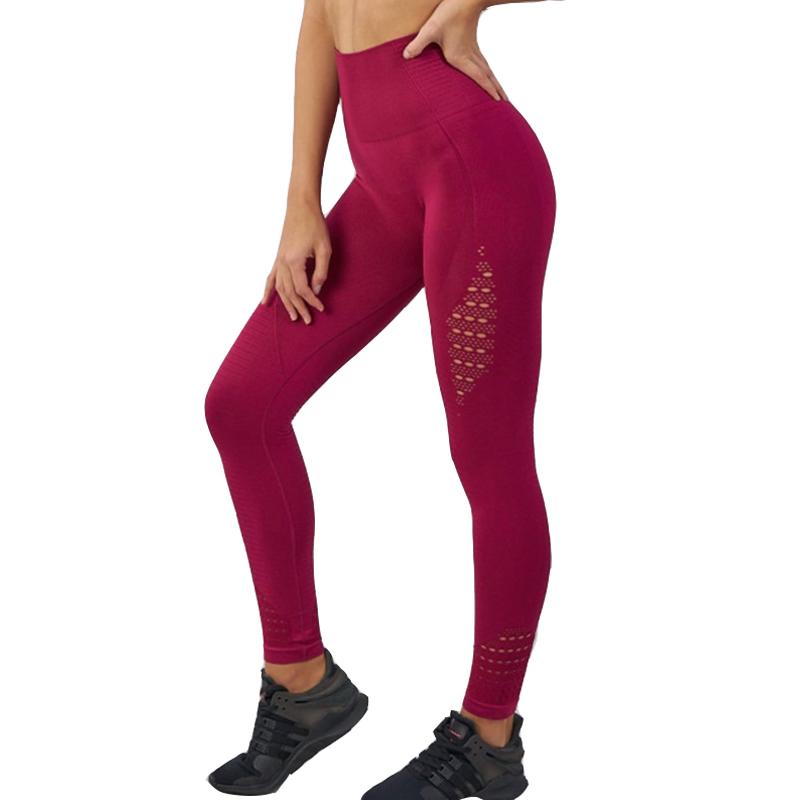 Shark High Waisted Yoga Pants in vibrant colors, showcasing seamless design and high elasticity for women.