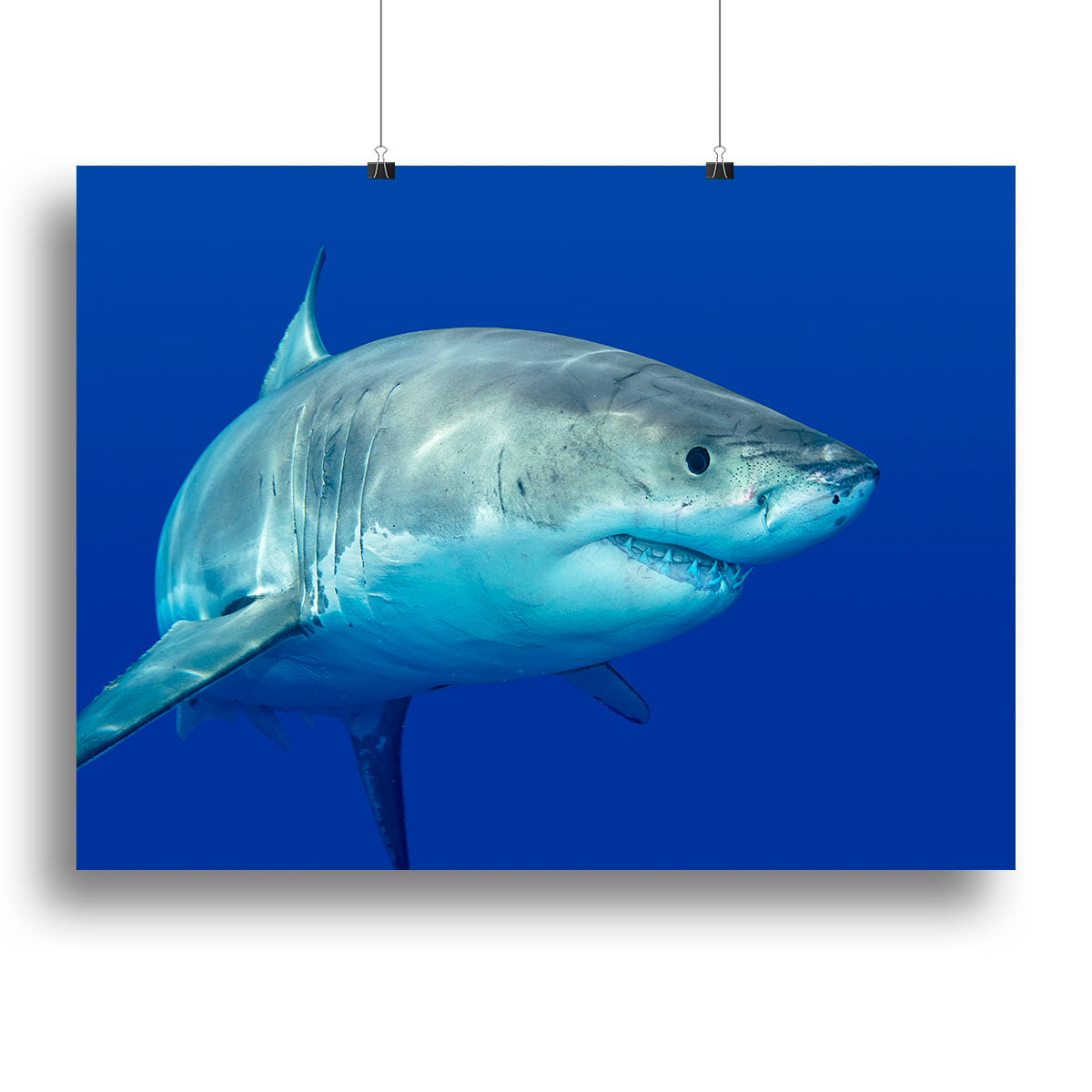 A vibrant canvas print featuring a shark swimming gracefully in clear blue waters, showcasing the beauty of marine life.