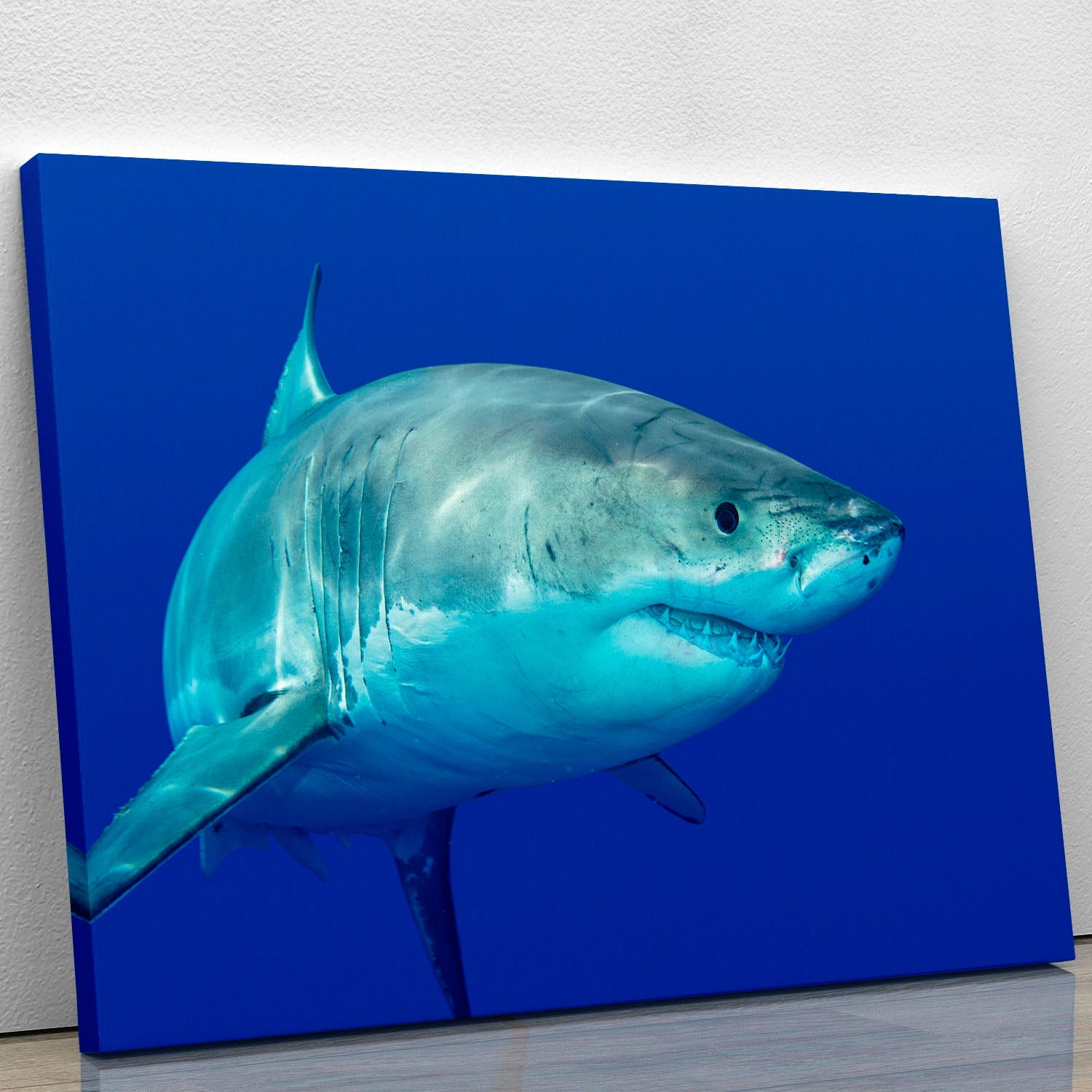 A vibrant canvas print featuring a shark swimming gracefully in clear blue waters, showcasing the beauty of marine life.