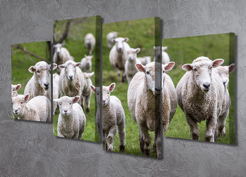 A beautiful 4-split canvas artwork featuring sheep and lambs in a lush paddock, showcasing serene nature.