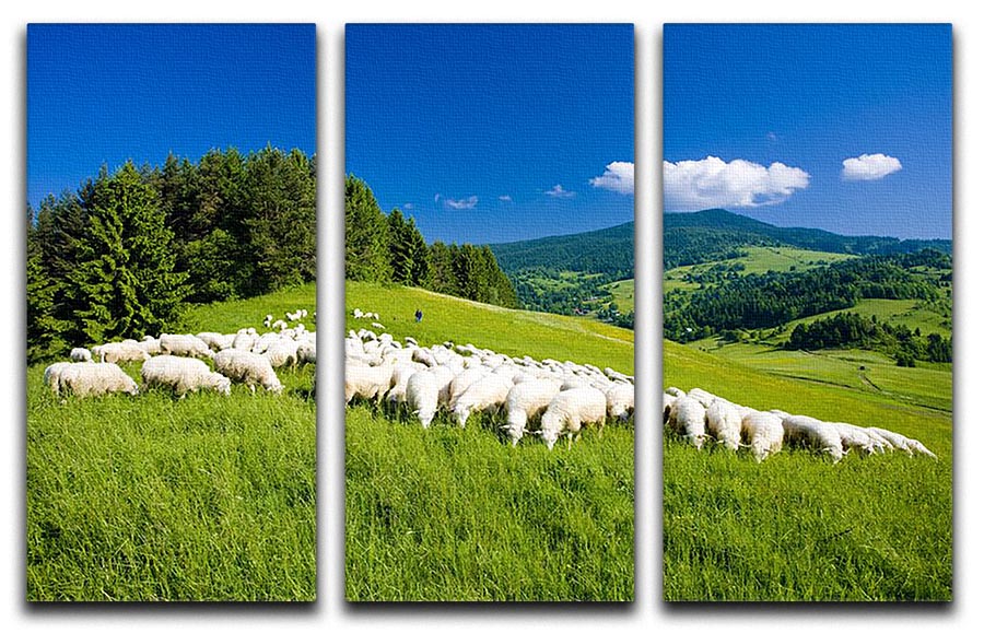 A beautiful 3-panel canvas print featuring serene sheep herds in a natural landscape, perfect for home decor.