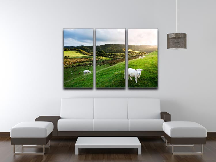 A beautiful 3-panel canvas print featuring sheep in a picturesque New Zealand farm landscape, showcasing vibrant colors and serene nature.