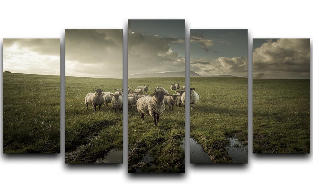 A beautiful 5-split canvas artwork depicting sheep grazing in a lush green field, creating a serene and dynamic visual experience.