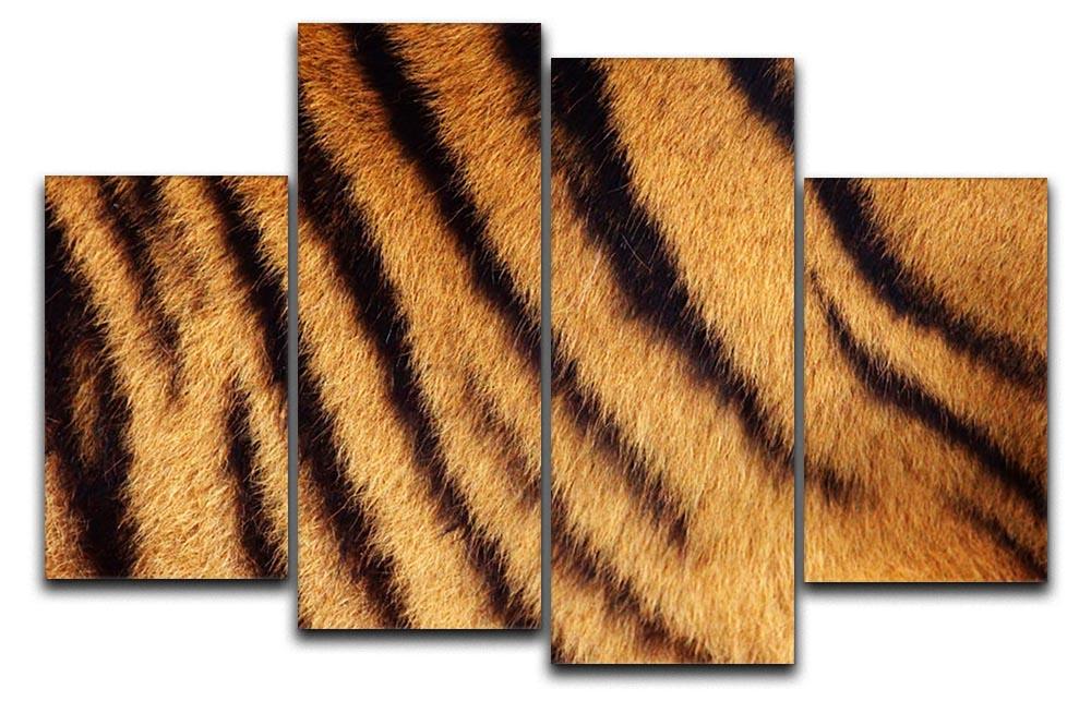 A stunning 4 split panel canvas featuring Siberian tiger striped fur, showcasing vibrant colors and intricate details.