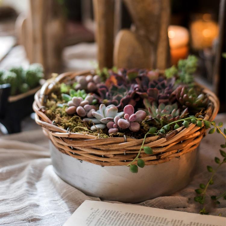 Silver Metal Willow Mixed Zakka Planter in various sizes, showcasing a stylish design suitable for flowers.