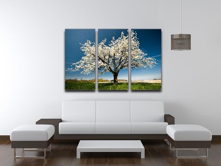 A beautiful 3-panel canvas print featuring a single blossoming tree in spring, showcasing vibrant flowers and lush greenery.