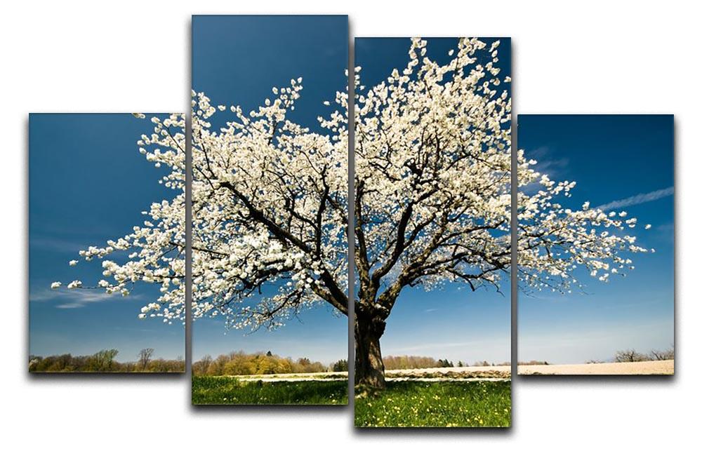 A beautiful 4-panel canvas artwork featuring a single blossoming tree in spring, showcasing vibrant flowers and a serene background.