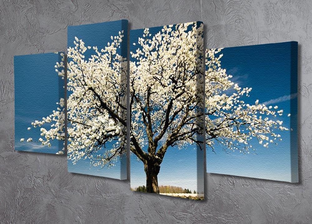 A beautiful 4-panel canvas artwork featuring a single blossoming tree in spring, showcasing vibrant flowers and a serene background.