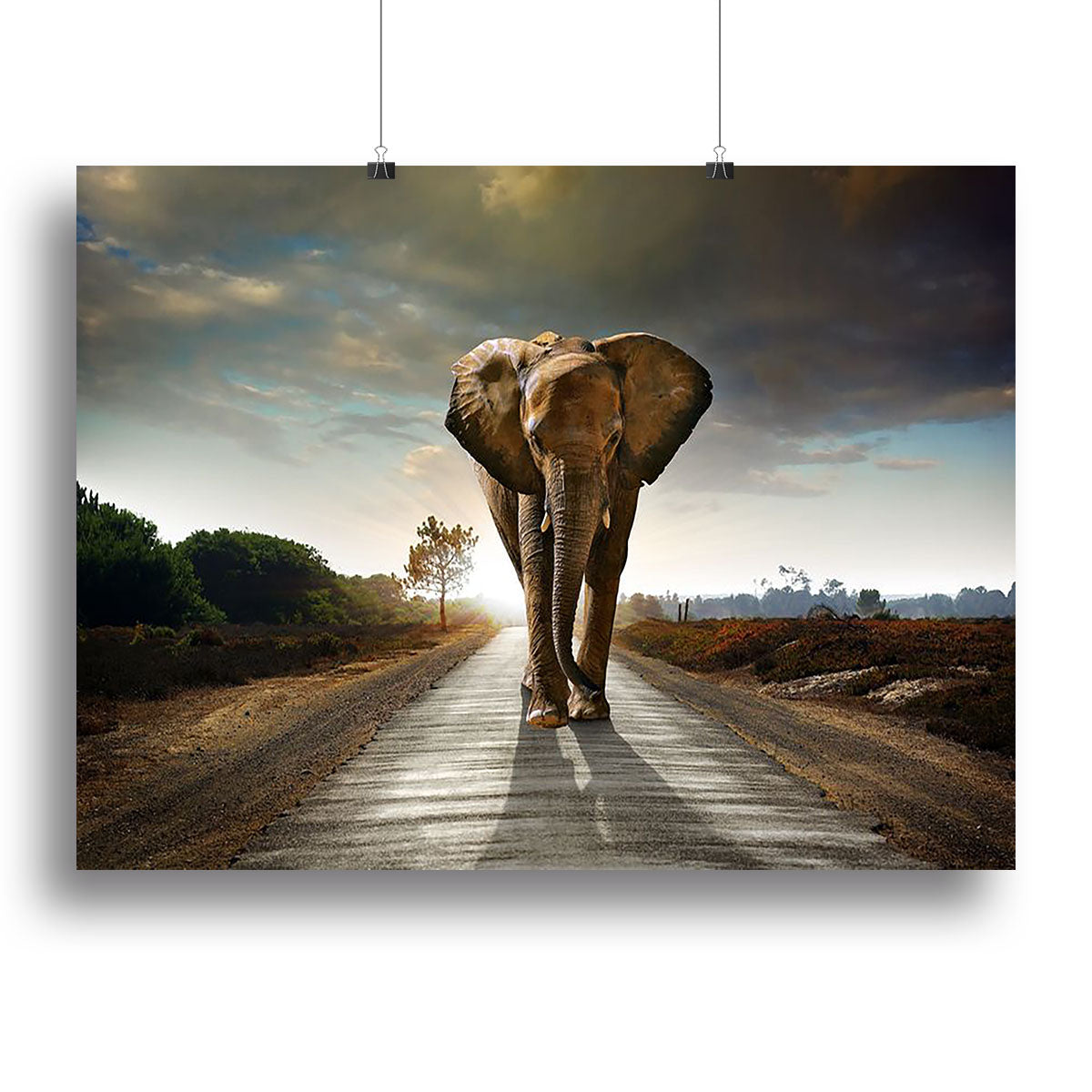 A beautiful canvas print featuring a single elephant walking along a road, showcasing its majestic presence in a natural setting.