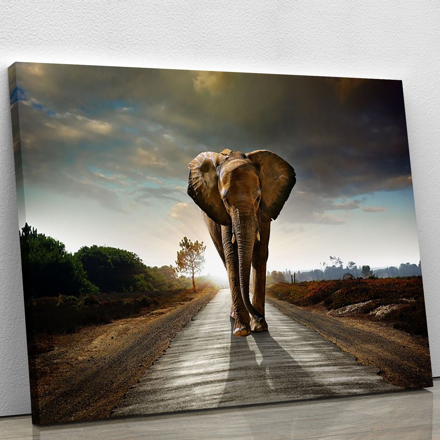 A beautiful canvas print featuring a single elephant walking along a road, showcasing its majestic presence in a natural setting.