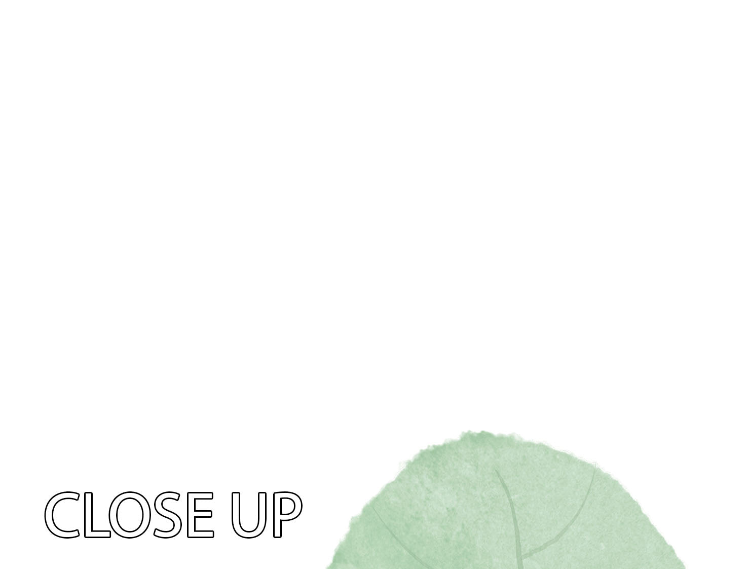 Single Leaf 3 Split Panel Canvas Print showcasing three panels with a cohesive leaf design, perfect for enhancing interior decor.