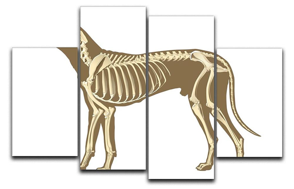 A 4-split canvas artwork featuring a detailed x-ray of a dog's skeleton, showcasing the bones in a striking arrangement.