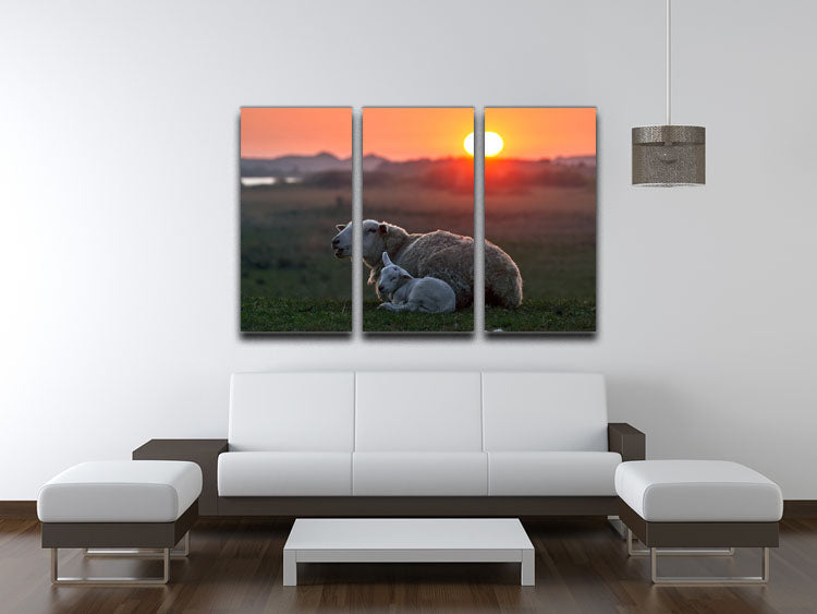 Three-panel canvas print featuring a serene sheep design, perfect for home decor.