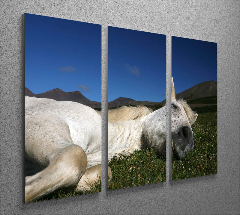 Sleeping Beauty 3 Split Panel Canvas Print featuring enchanting artwork across three high-quality canvases.