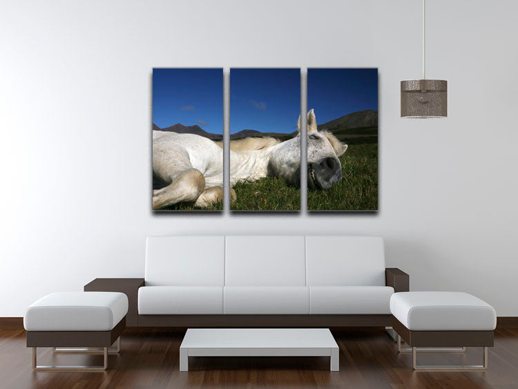 Sleeping Beauty 3 Split Panel Canvas Print featuring enchanting artwork across three high-quality canvases.