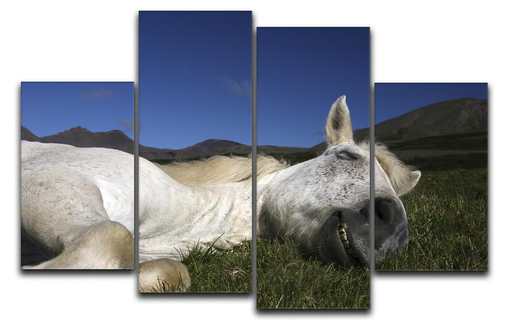 Sleeping Beauty 4 Split Panel Canvas artwork featuring vibrant colors and intricate details across four panels.