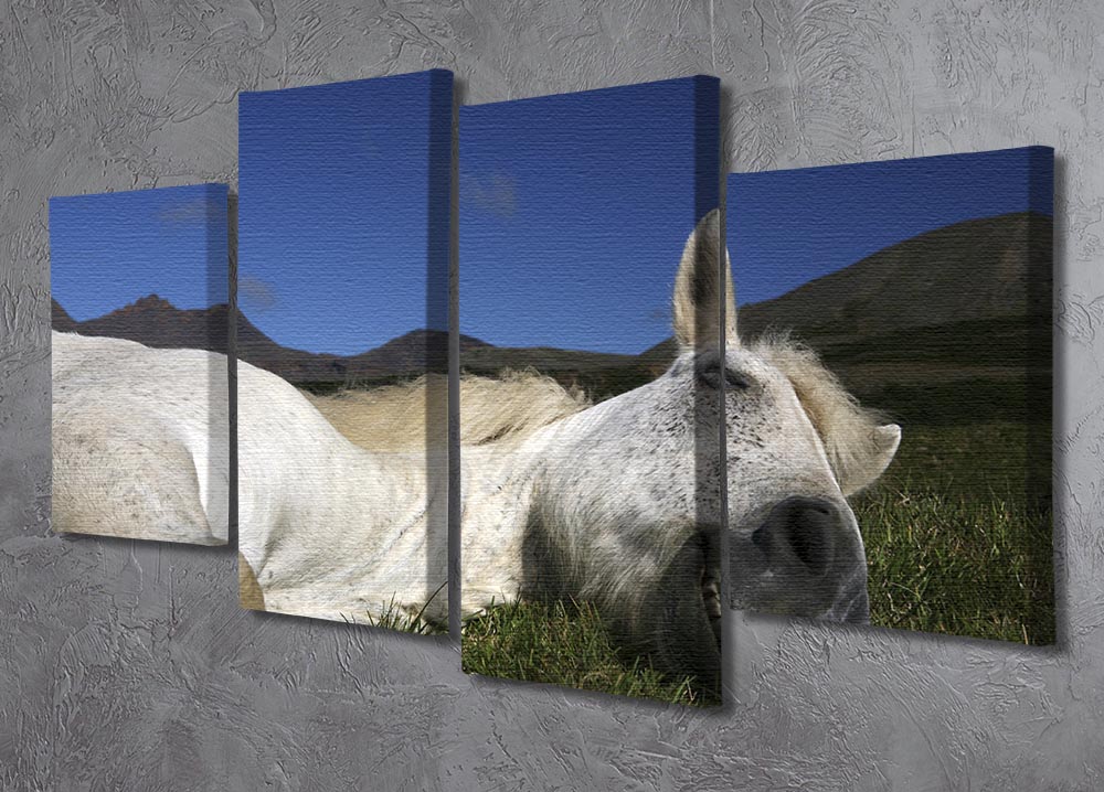 Sleeping Beauty 4 Split Panel Canvas artwork featuring vibrant colors and intricate details across four panels.