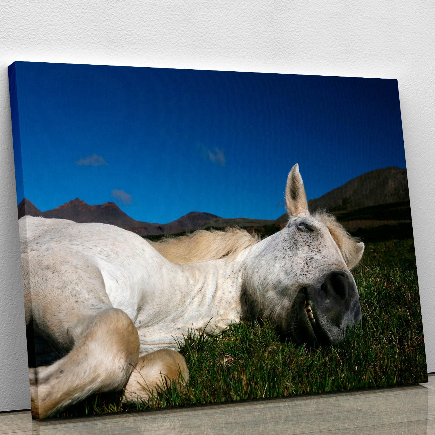 Sleeping Beauty canvas print featuring a beautiful fairy tale scene with vibrant colors and intricate details, perfect for home decor.