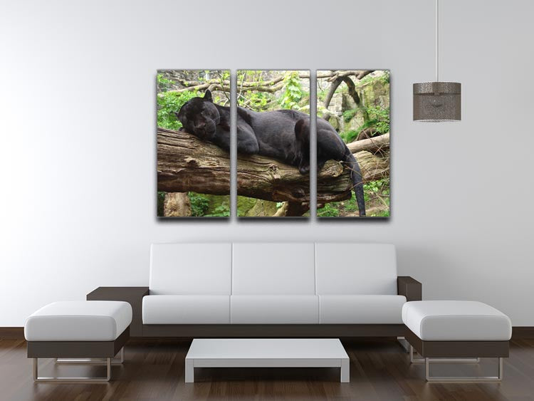 A stunning 3-panel canvas print featuring a sleeping black jaguar, showcasing its elegant form and rich colors, perfect for home decor.