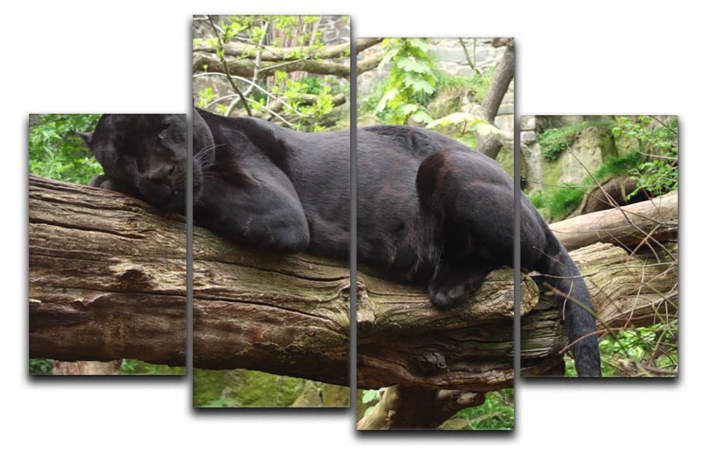 A stunning 4-split canvas artwork featuring a sleeping black jaguar, showcasing its majestic form across four panels.